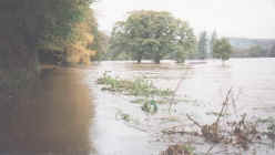 Flood1.jpg 