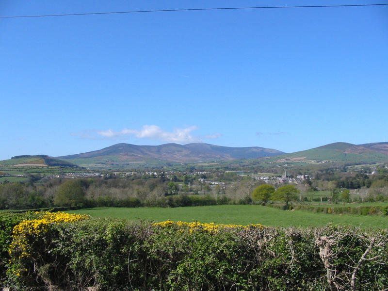 Bunclody and countryside.jpg (83850 bytes)
